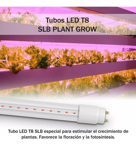 TUBOLED VI T8G13 10W GROW-RB 600MM P/CULTIVO YARLUX